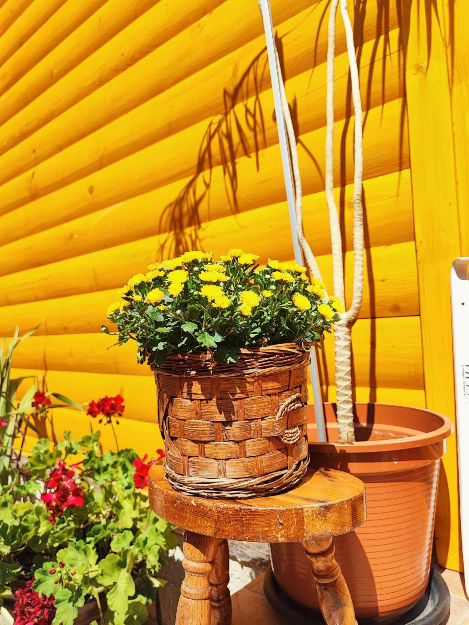 Guest House Nizama'S Place Saraievo Exterior foto